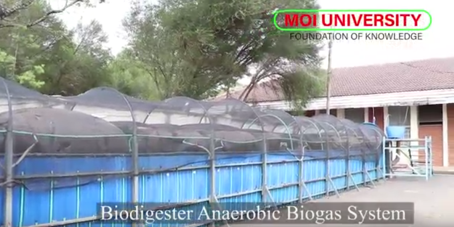 bio digester at the school